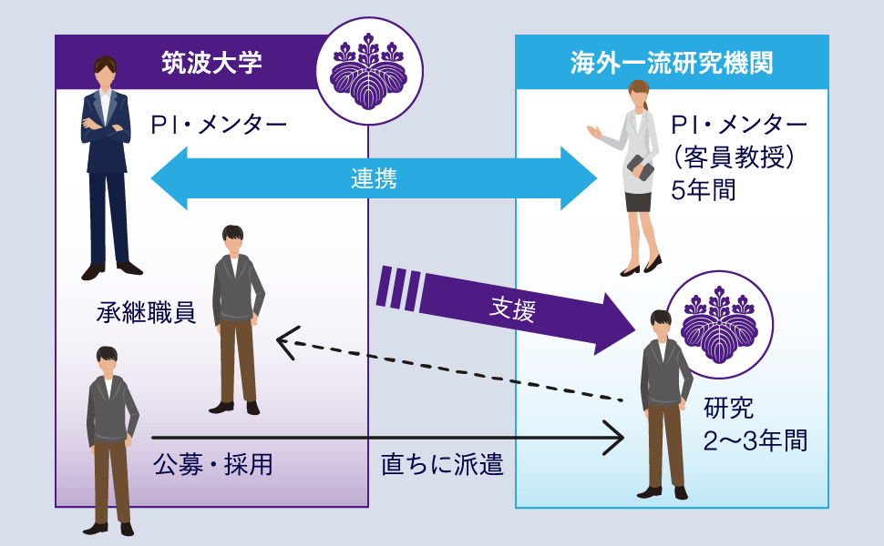 国際テニュアトラック制度