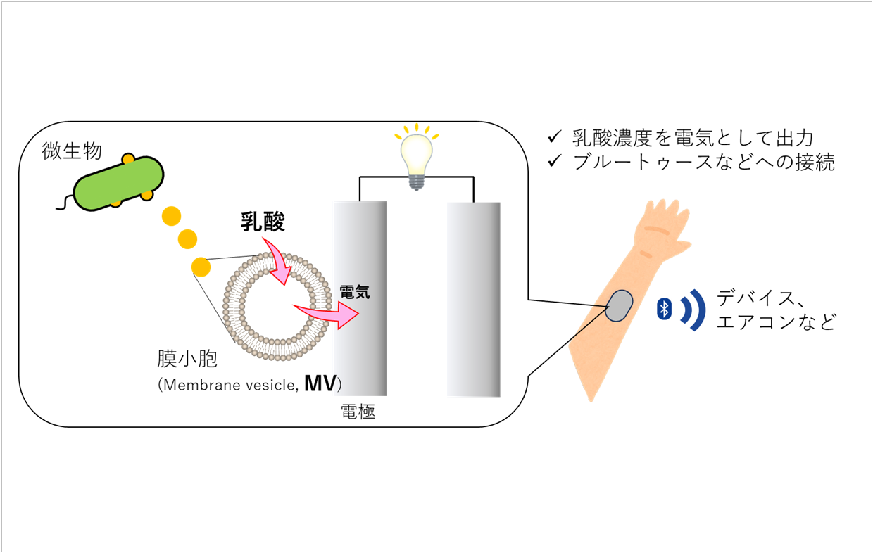 探求者インタビュー｜徳納 吉秀イメージ画像